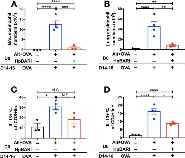 IL-13 Antibody in Flow Cytometry (Flow)