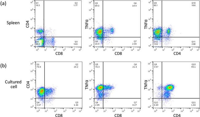 TNF alpha Antibody in Flow Cytometry (Flow)