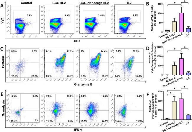 Granulysin Antibody in Flow Cytometry (Flow)