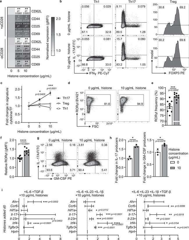 IFN gamma Antibody in Flow Cytometry (Flow)