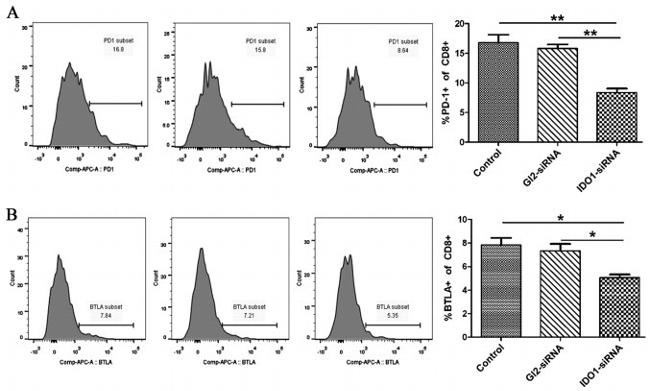 CD279 (PD-1) Antibody in Flow Cytometry (Flow)