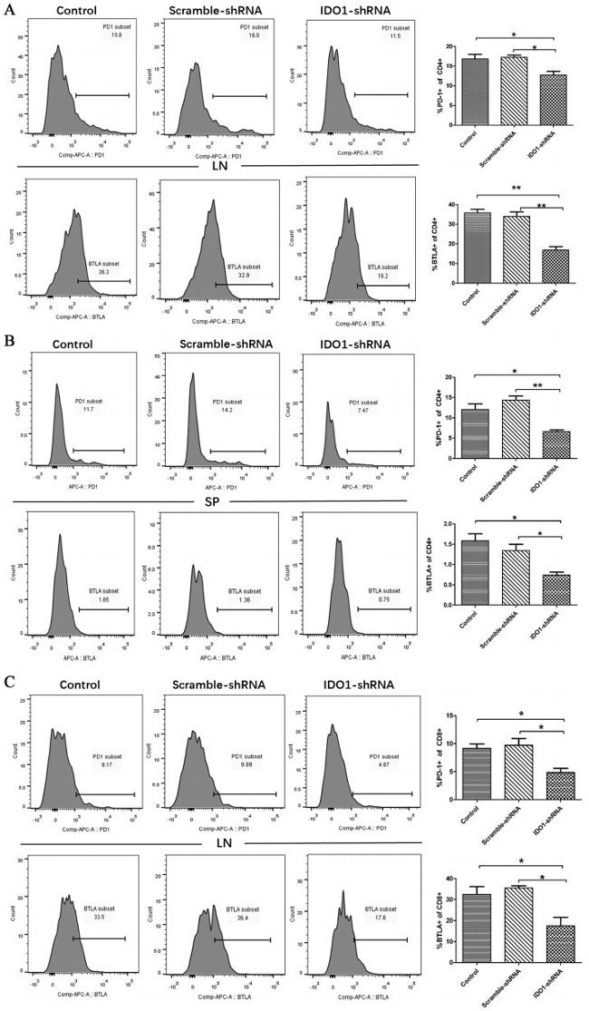 CD279 (PD-1) Antibody in Flow Cytometry (Flow)