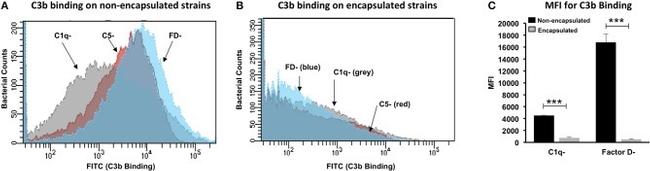 Complement C3b Antibody in Flow Cytometry (Flow)