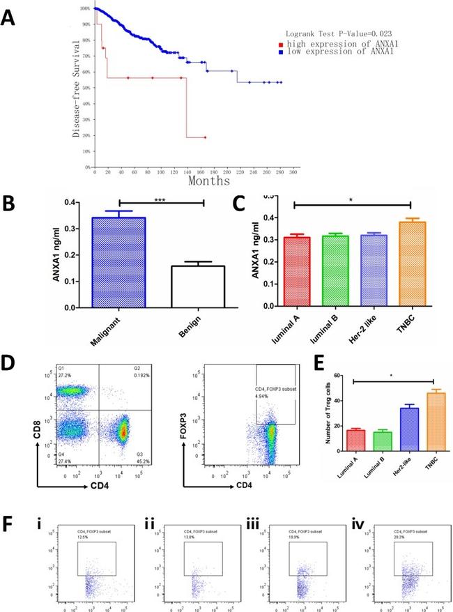 CD4 Antibody in Flow Cytometry (Flow)