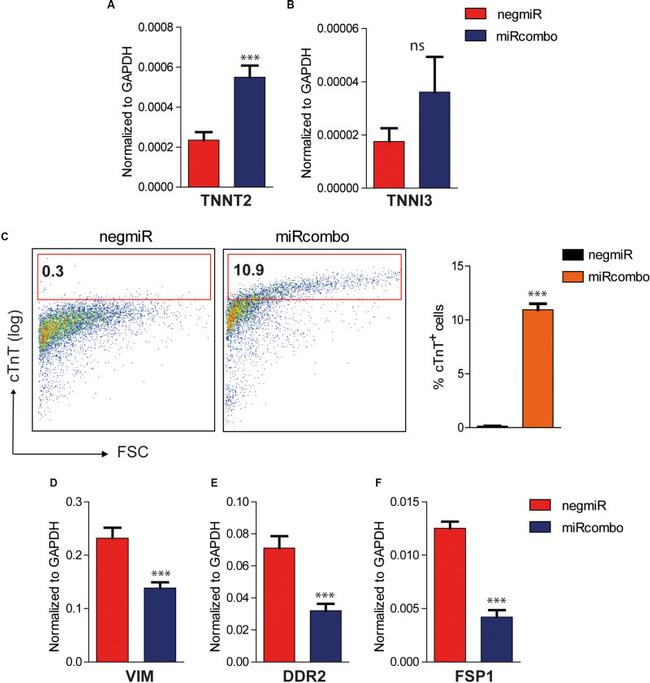 Cardiac Troponin T Antibody in Flow Cytometry (Flow)