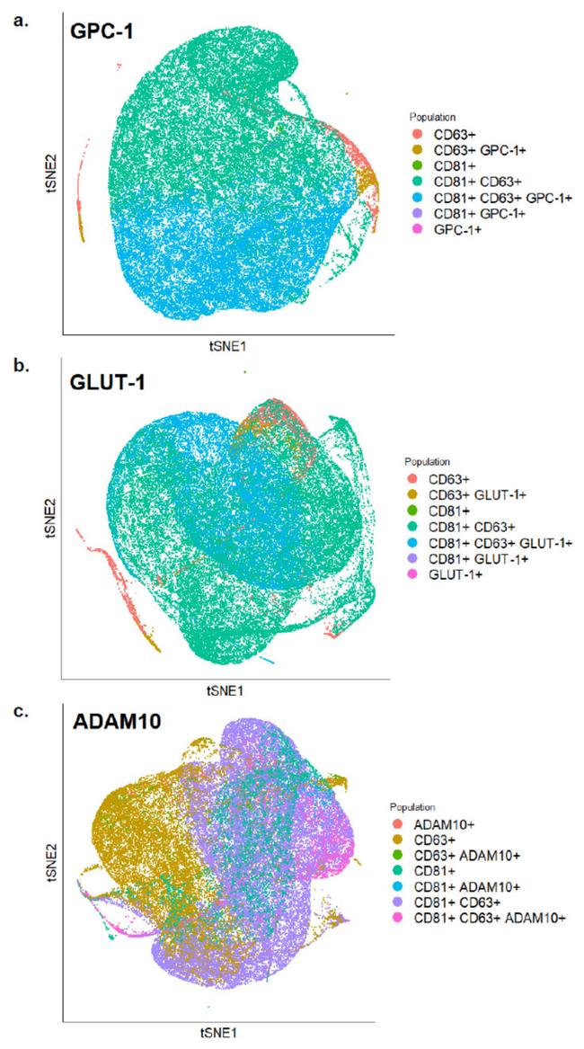 GLUT1 Antibody in Flow Cytometry (Flow)