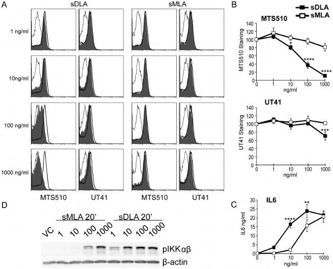 TLR4/MD-2 Complex Antibody in Flow Cytometry (Flow)