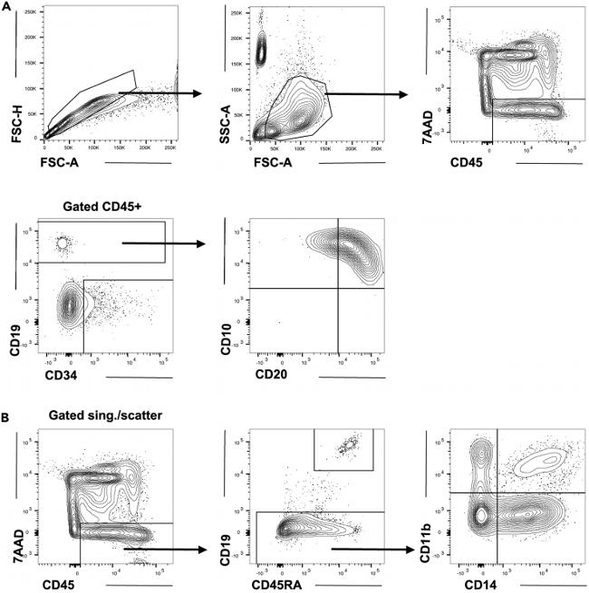 CD45RA Antibody in Flow Cytometry (Flow)