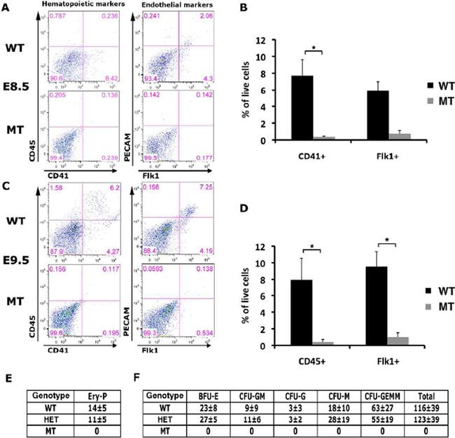 CD41a Antibody in Flow Cytometry (Flow)