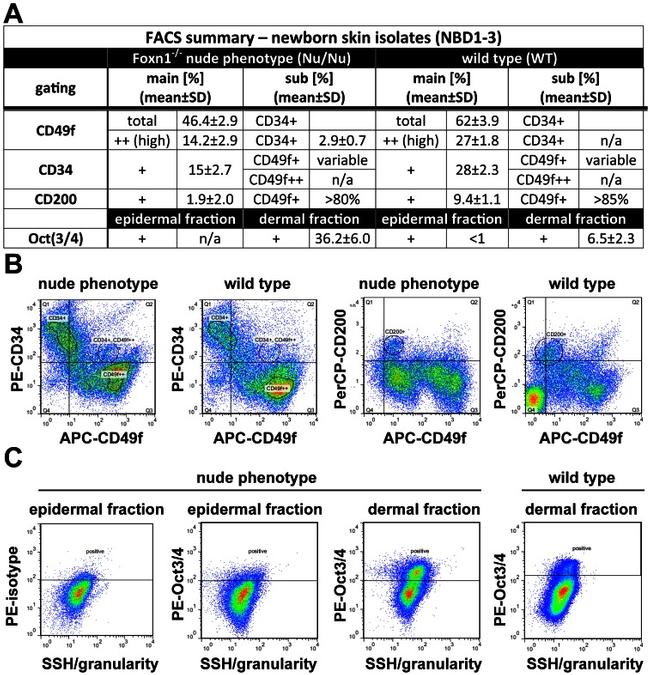 CD200 Antibody in Flow Cytometry (Flow)