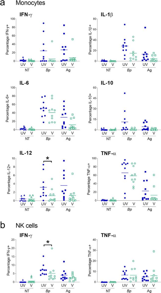 IL-1 beta Antibody in Flow Cytometry (Flow)