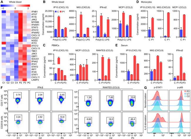 IFN beta Antibody in Flow Cytometry (Flow)