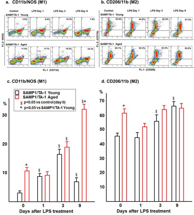 CD206 Antibody in Flow Cytometry (Flow)