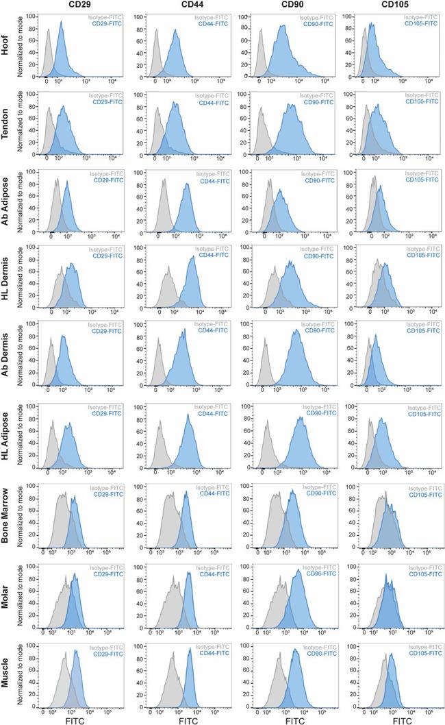 CD44 Antibody in Flow Cytometry (Flow)