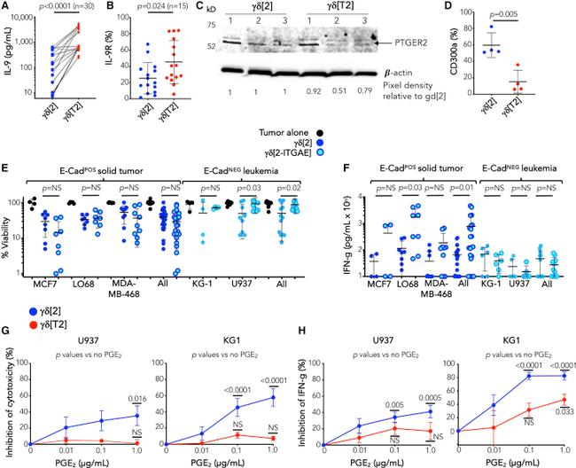 CD300a Antibody in Flow Cytometry (Flow)