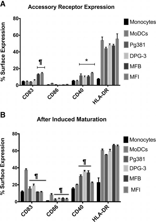 CD83 Antibody in Flow Cytometry (Flow)