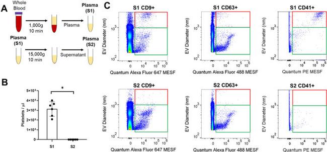 CD63 Antibody in Flow Cytometry (Flow)