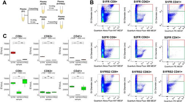 CD63 Antibody in Flow Cytometry (Flow)