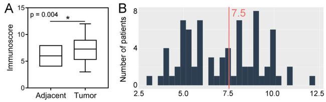 SPDL1 Antibody in Immunohistochemistry (IHC)