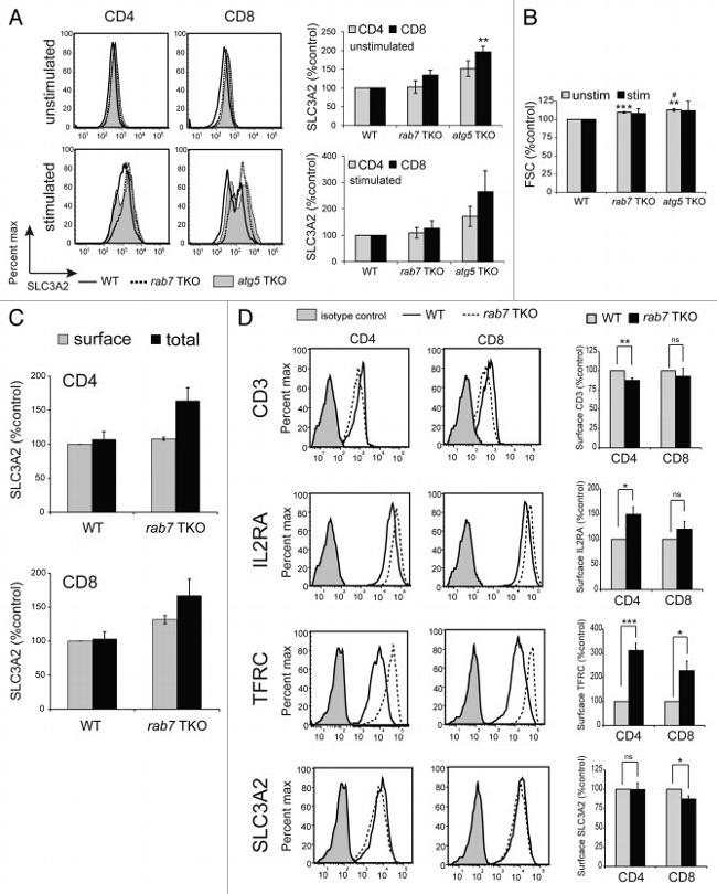 CD25 Antibody in Flow Cytometry (Flow)