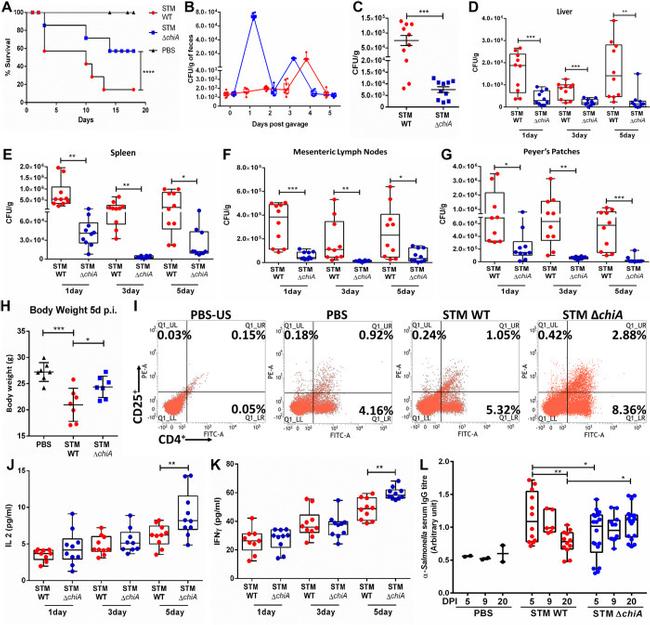 CD4 Antibody in Flow Cytometry (Flow)