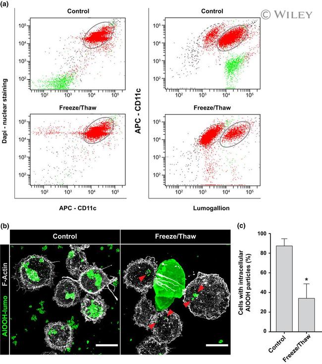 CD11c Antibody in Flow Cytometry (Flow)