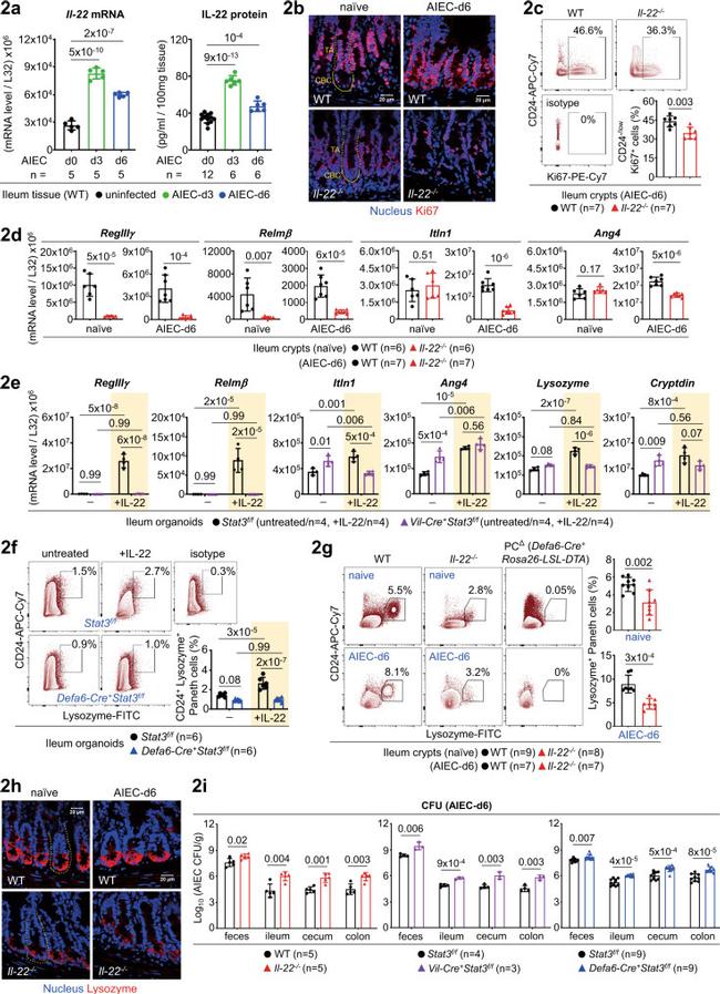 CD24 Antibody in Flow Cytometry (Flow)