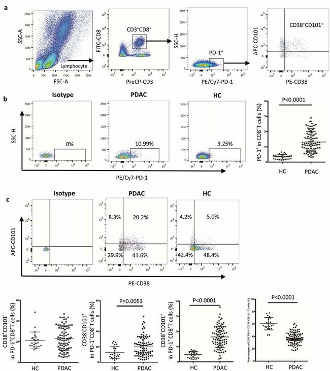 CD38 Antibody in Flow Cytometry (Flow)