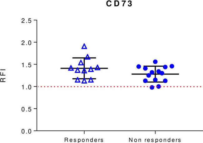 CD73 Antibody in Flow Cytometry (Flow)