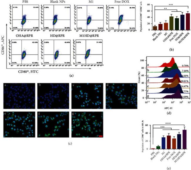 CD80 (B7-1) Antibody in Flow Cytometry (Flow)