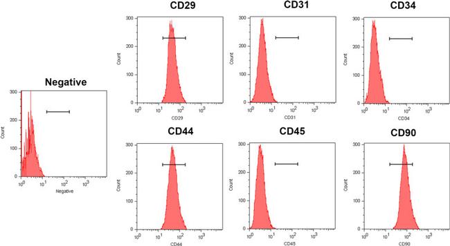 CD31 Antibody in Flow Cytometry (Flow)