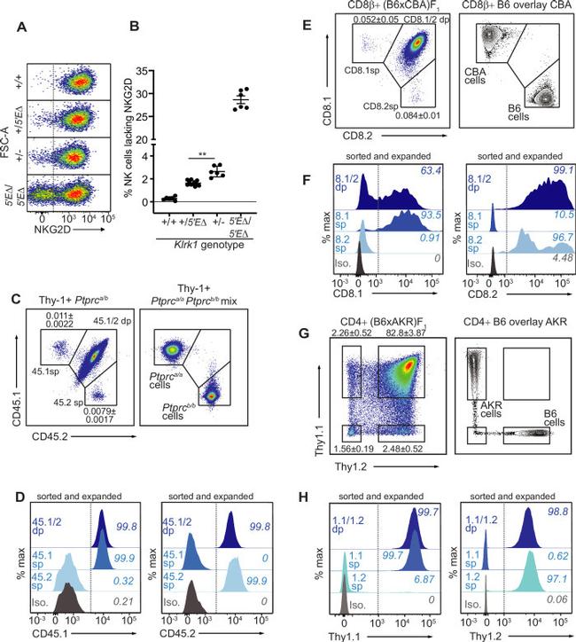 CD90.1 (Thy-1.1) Antibody in Flow Cytometry (Flow)