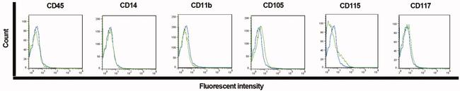 CD105 (Endoglin) Antibody in Flow Cytometry (Flow)