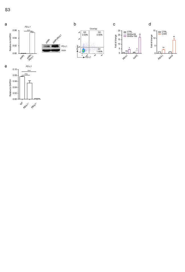 CD201 (EPCR) Antibody in Flow Cytometry (Flow)