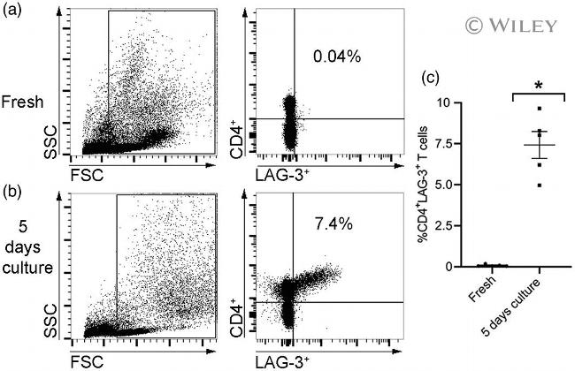 CD223 (LAG-3) Antibody in Flow Cytometry (Flow)