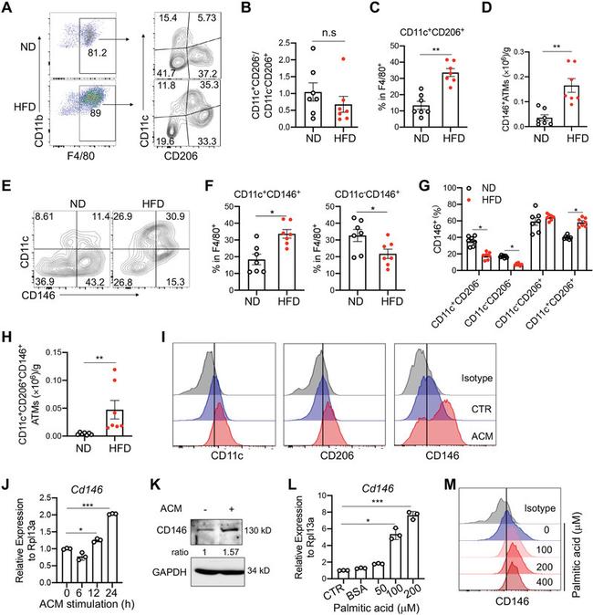 F4/80 Antibody in Flow Cytometry (Flow)