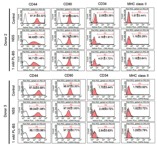 CD44 Antibody in Flow Cytometry (Flow)