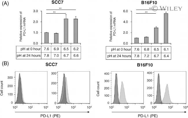 CD274 (PD-L1, B7-H1) Antibody in Flow Cytometry (Flow)