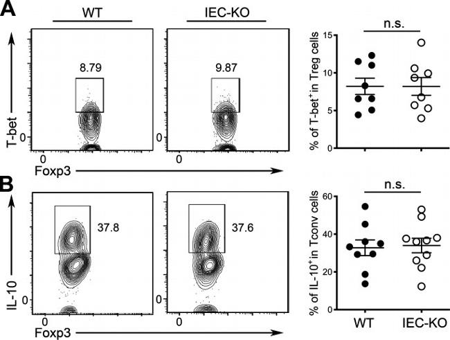 IL-10 Antibody in Flow Cytometry (Flow)