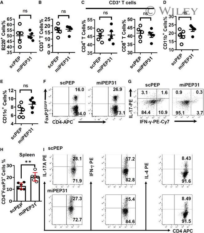 IFN gamma Antibody in Flow Cytometry (Flow)