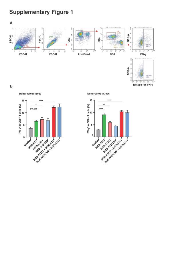 IFN gamma Antibody in Flow Cytometry (Flow)