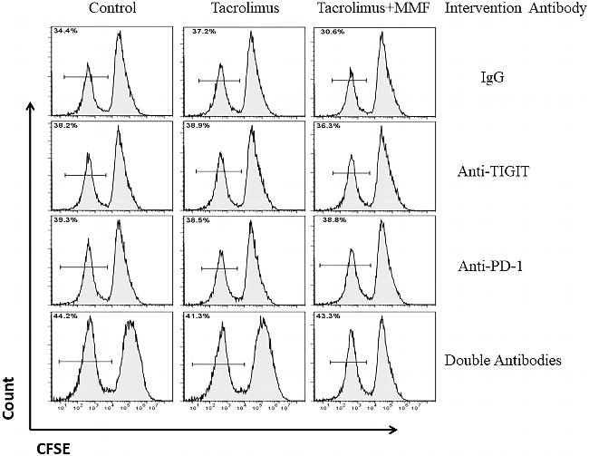 TIGIT Antibody in Flow Cytometry (Flow)