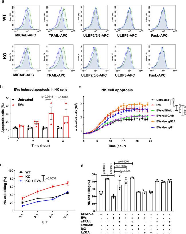 CD178 (Fas Ligand) Antibody in Flow Cytometry (Flow)