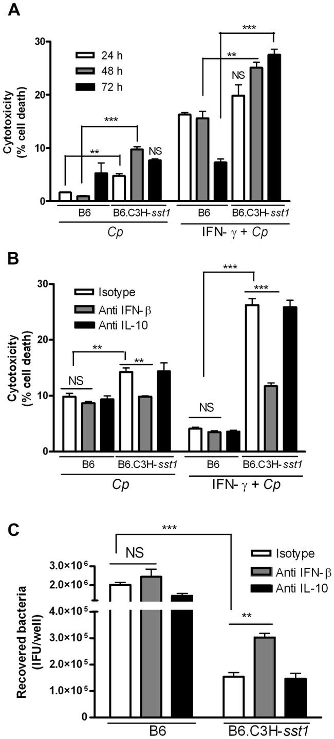 IL-10 Antibody in Neutralization (Neu)