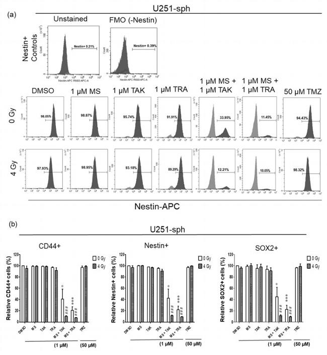 Nestin Antibody in Flow Cytometry (Flow)