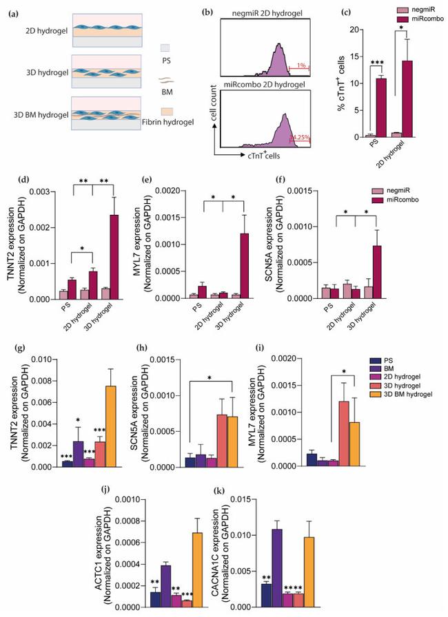 Cardiac Troponin T Antibody in Flow Cytometry (Flow)