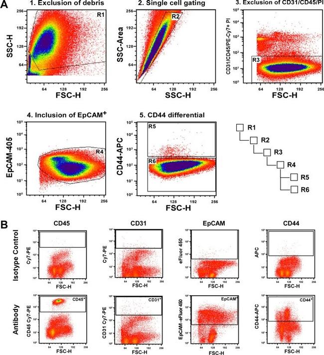 CD326 (EpCAM) Antibody in Flow Cytometry (Flow)