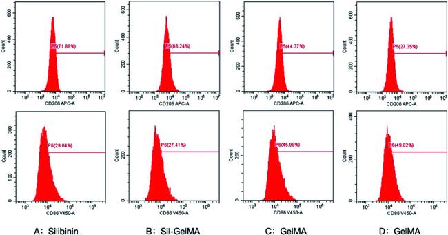 CD206 Antibody in Flow Cytometry (Flow)