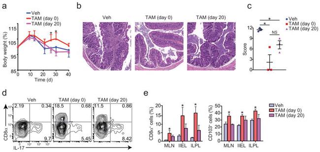 TCR beta Antibody in Flow Cytometry (Flow)