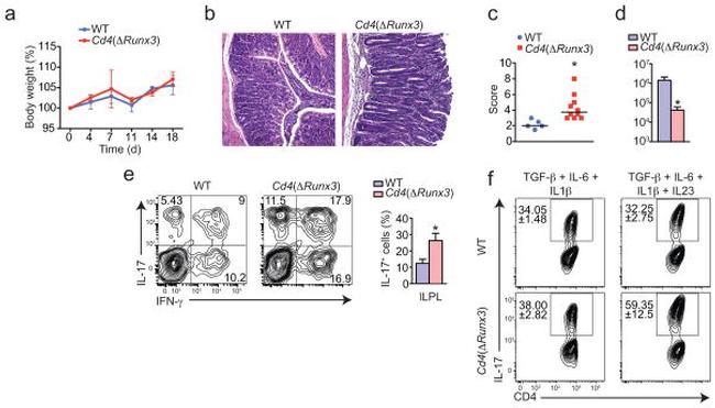 TCR beta Antibody in Flow Cytometry (Flow)